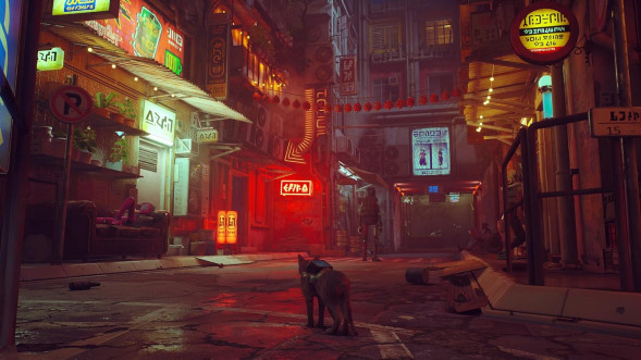 Игра Stray [Nintendo Switch, русские субтитры] в Сочи