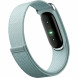 Фитнес-браслет Google Fitbit Air (Серо-голубой/Fog) в Сочи