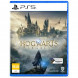 Игра Hogwarts Legacy. Exclusive DLC Astronomers Hat [PS5, русские субтитры] в Сочи
